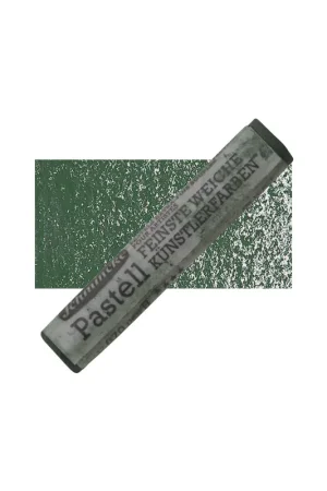 PASTEL SCHMINCKE  B,VERDE HOJA OSCURO Envío Exprés