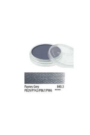 Envío Internacional PANPASTEL 9ml 840.1 Paynes Gris Extra Oscuro