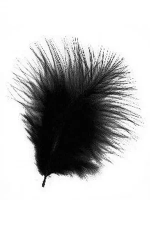 PLUMAS DECORATIVAS NEGRAS Oferta De Temporada