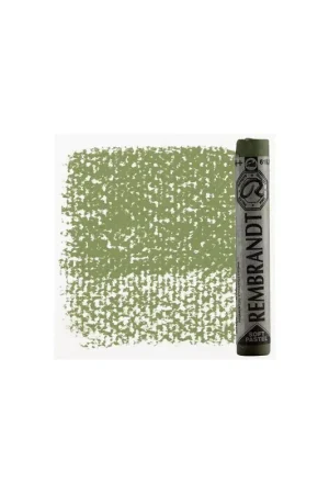 Ordenar Ahora Mismo PASTEL REMBRANDT VERDE PERM.CLARO  3