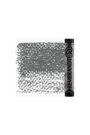 PASTEL REMBRANDT GRIS VERDOSO 3 Alta Calidad