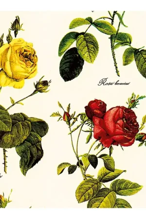 Venta Final PAPEL DECOUPAGE TASS ROSAS 50x70