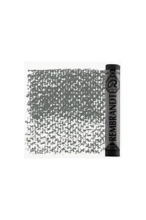 PASTEL REMBRANDT GRIS VERDOSO 5 Promoción Exclusiva