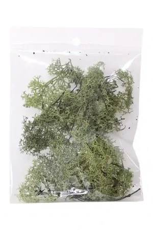 Directo De Fábrica MUSGO VERDE NATURAL 10 GR.