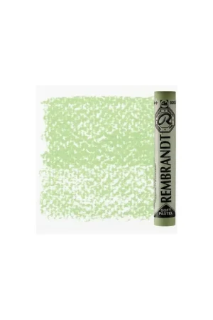No Te Lo Pierdas PASTEL REMBRANDT VERDE CINABRIO CLARO  9