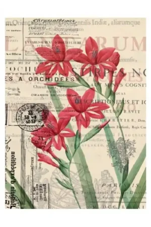 Súper Precio PAPEL DE ARROZ CADENCE ORQUIDEAS Y SELLOS 30x41 CM