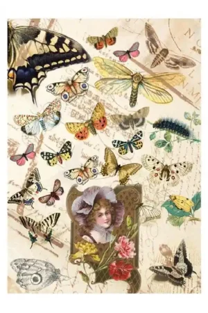 PAPEL DE ARROZ CADENCE MARISPOSAS Y SEÑORA 30x41 CM Directo De Fábrica