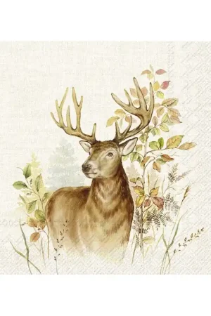 5 PAÑUELOS CON ESTAMPADOS VENADO CAZADO Profesional