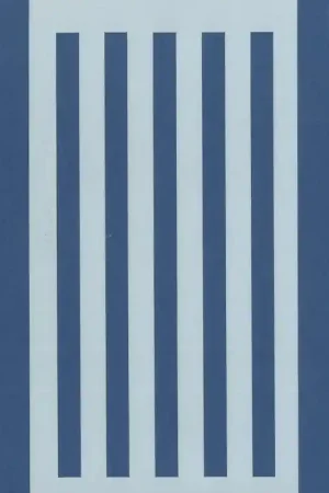 Edición Limitada PLANTILLA SILU 1011 LINEAS GRUESAS