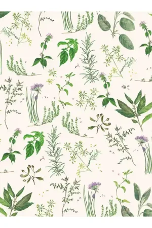 Solo Hoy PAPEL DECOUPAGE TASS PLANTAS AROMATICAS 50x70 CM