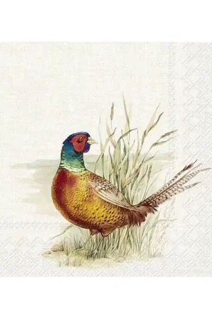 PAQUETE 20 PAÑUELOS DECORATIVOS FAISAN Auténtico