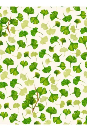PAPEL DECOUPAGE TASS GINKO BILOBA 50x70 CM Máxima Calidad
