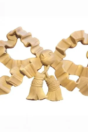 Devolución Gratuita LAZADA BORLAS