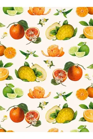 Garantía De Devolución De Dinero PAPEL DECOUPAGE TASS CITRICOS 50x70 CM