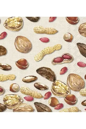 5 SERVILLETAS PARA MANUALIDADES FRUTOS SECOS Envío Internacional