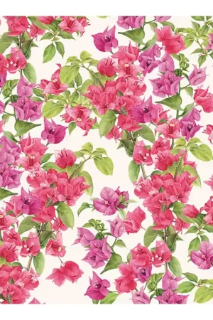 PAPEL DECOUPAGE TASS BUGANVILLA 50x70 CM Barato