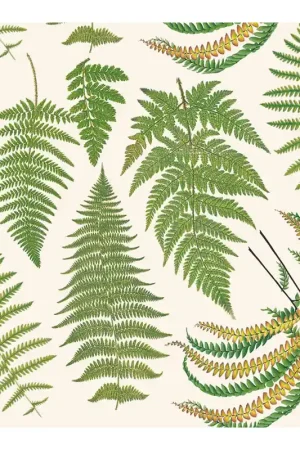 Última Oportunidad PAPEL DECOUPAGE TASS HELECHOS 50x70 CM