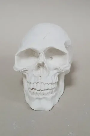 FIGURA DE ESCAYOLA CALAVERA 6x9 CM Envío Inmediato