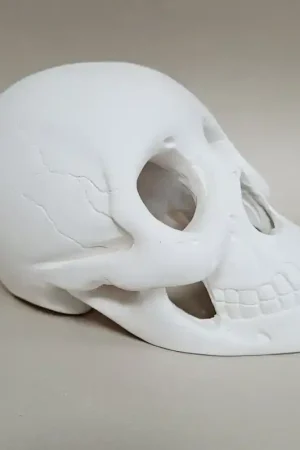 FIGURA DE ESCAYOLA CALAVERA HUECA 22 CM Disponible Ahora