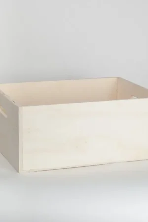 CAJON ASAS ZAPATOS SENCILLO Máxima Calidad