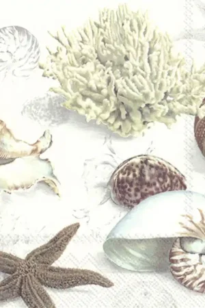 5 SERVILLETAS DECORADAS CLAMS AT THE BEACH Oferta Especial