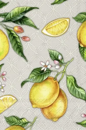 Disponible Ahora 5 SERVILLETAS PARA DECOUPAGE LIMONES