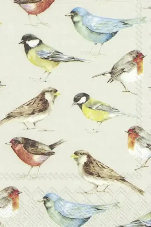 Mejor Calidad PAQUETE 20 SERVILLETAS BONITAS PAJARITOS