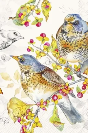 Envío Gratis PAQUETE 20 SERVILLETAS DECORADAS AUTUMN BIRDS