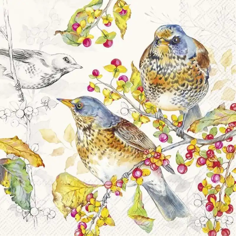 Envío Gratis PAQUETE 20 SERVILLETAS DECORADAS AUTUMN BIRDS