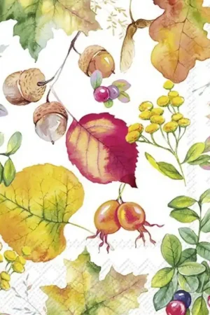 5 SERVILLETAS DECORADAS HARVEST SEASON Mejor Precio