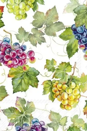 Compra Hoy PAQUETE 20 SERVILLETAS DE PAPEL VIN