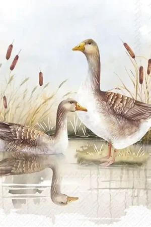 5 SERVILLETAS DECORADAS WILD GEESE Stock Limitado