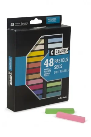 Mejor Calidad 48 PASTELES SECOS CAMPUS RAPHAEL
