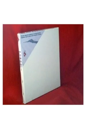 LIENZO DE BASTIDOR SIMPLE CUADRADO 30X30 Barato