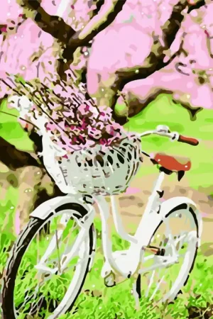 Profesional COLOREAR NUMEROS - BICICLETA