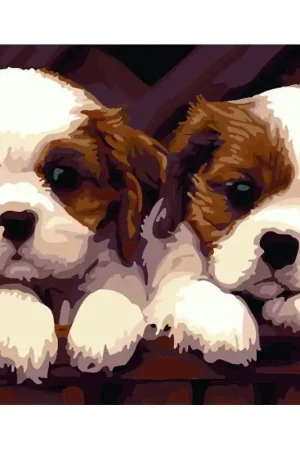 PINTA POR NUMEROS - PRECIOSOS PERRITOS Ocasión Especial