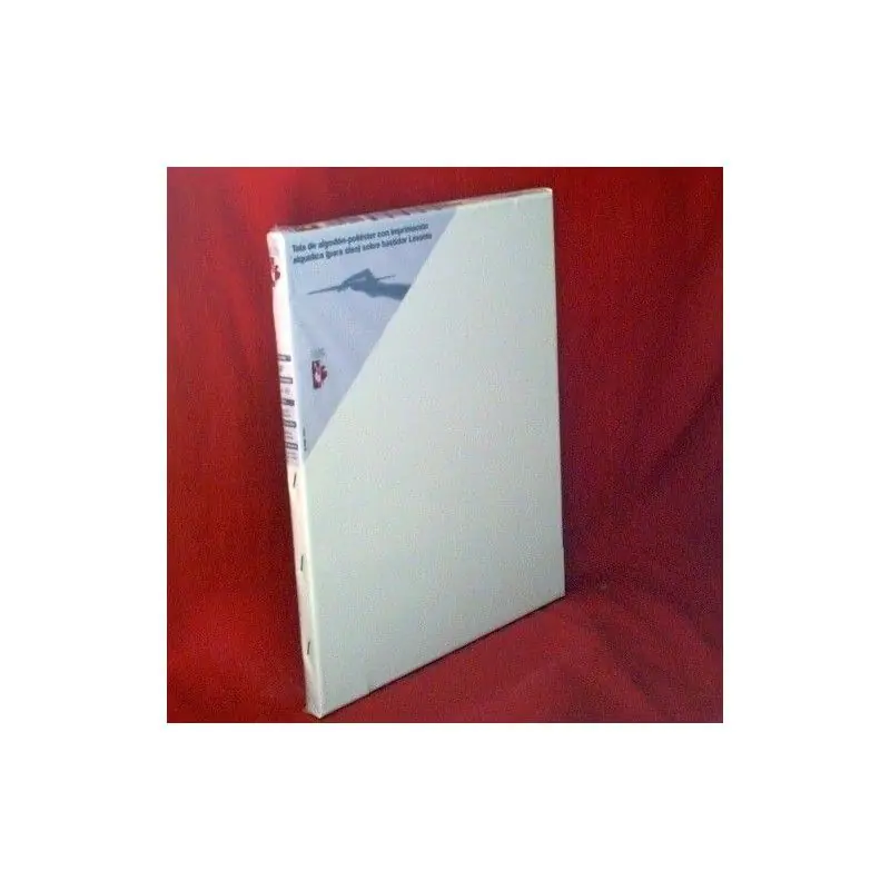 LIENZO DE BASTIDOR SIMPLE 61X46 Precio Económico