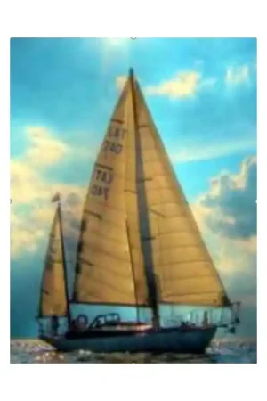 PINTAR POR NUMEROS - NAVEGA EN VELERO Oferta De Temporada