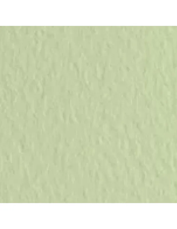 HOJA PASTEL TIZIANO FABRIANO VERDUZZO 50X65 Auténtico