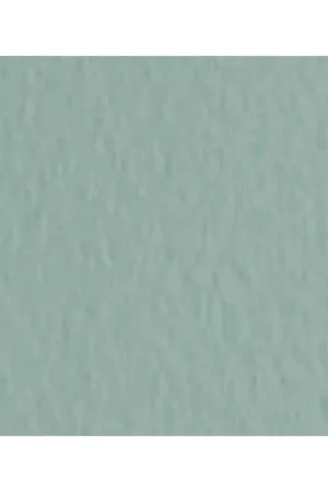 HOJA PASTEL TIZIANO FABRIANO SALVIA 50X65 Nuevo Modelo