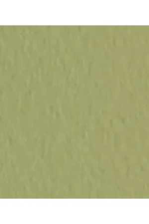 Económico HOJA PASTEL TIZIANO FABRIANO MUSCHIO 50X65