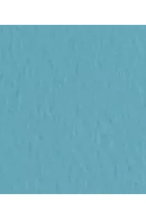 HOJA PASTEL TIZIANO FABRIANO ZUCCH 50X65 Popular