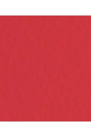 HOJA PASTEL TIZIANO FABRIANO VESUVIO 50X65 Solo Por Tiempo Limitado