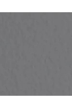 HOJA PASTEL TIZIANO FABRIANO ANTRACIT 50X65 Envío Inmediato