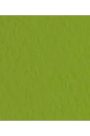 Devolución Gratuita HOJA PASTEL TIZIANO FABRIANO PISTACC 50X65