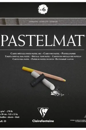 BLOC PASTELMAT CLAIRE FOUNTAINE Nº6 A3 Más Vendido