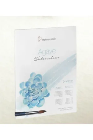 Precio Reducido Bloc Agave hahnemuhle 290gr
