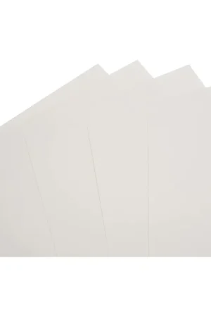 Precio Económico HOJA BASIC 370 GRAMOS 100X70