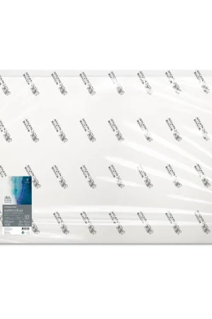 WINSOR & NEWTON PAPEL ACUARELA PROFESIONAL HOJA GRANO FINO 300G 56X76 CM Gran Oferta